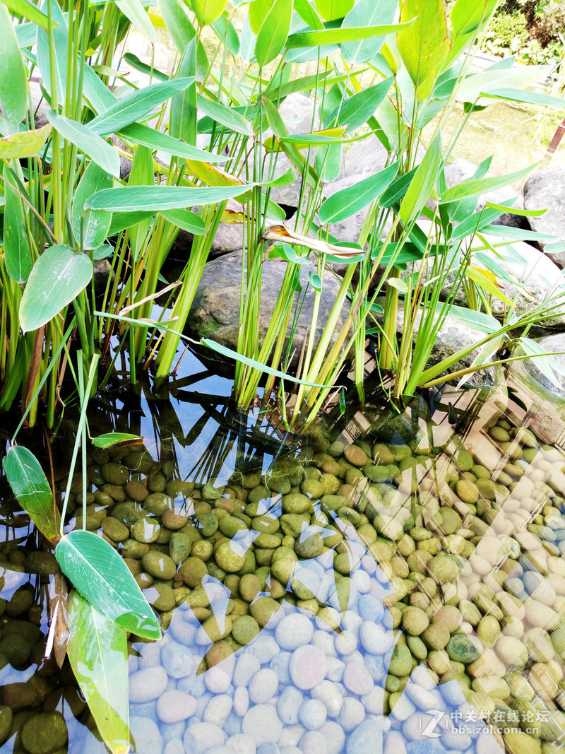 #最美双城记，X5Pro极夜黑试用#薇妹纸亲测附视频【顺滑之感，让眼睛和指尖一起体验】