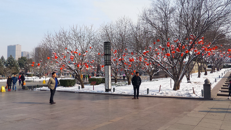 向传承经典的“奥利奥”致敬--华硕鹰眼ZenFone Zoom拍照体验