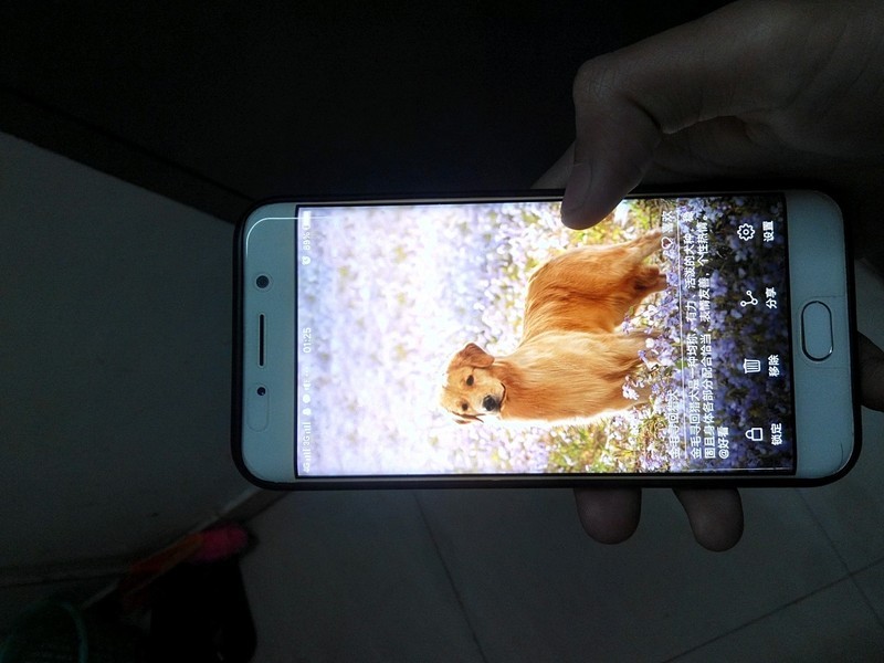 大家降级要留点心