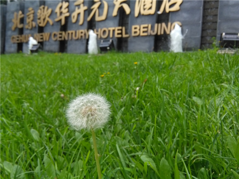 #华为我坐堂#年轻就做优等生，全网通荣耀4A二周体验评测