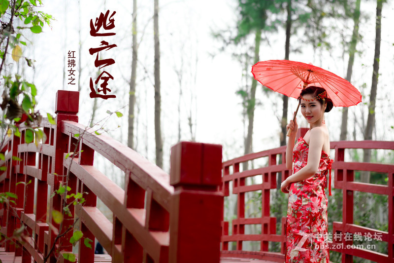 红拂女--之逃亡途