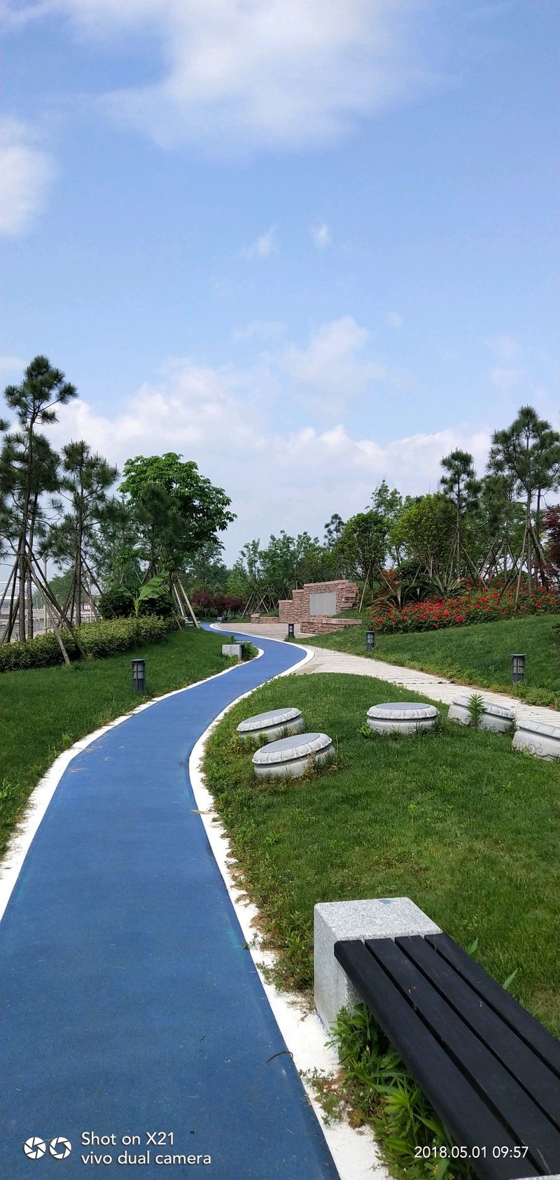 X21拍的照片，静物拍照不错，移动物体不行，夜景渣渣。