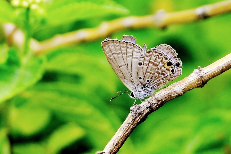 #版主坐堂#尼康D300S版块-----2015年8月精华作品汇总展示