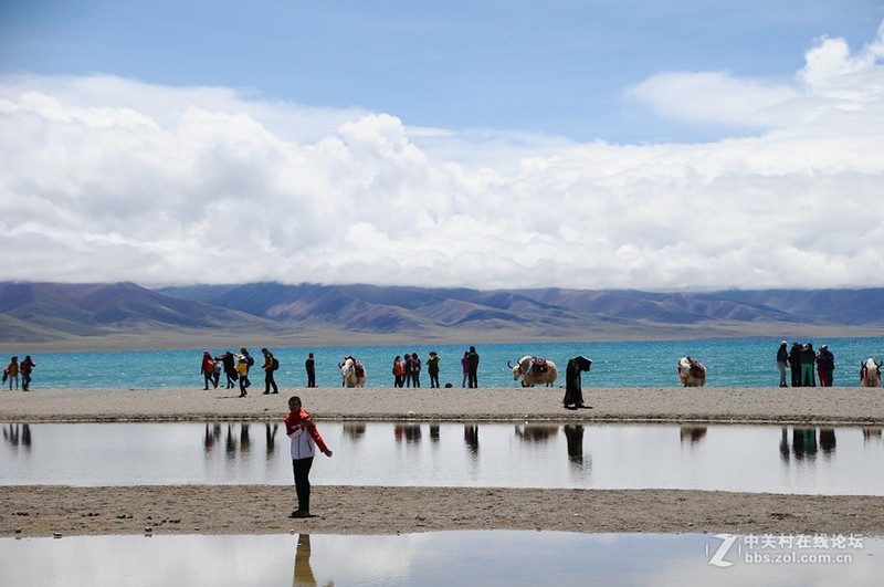 #版主坐堂#尼康D300S版块-----2015年8月精华作品汇总展示