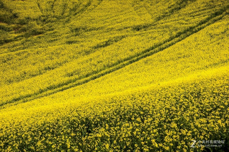 #版主坐堂#尼康D300S版块-----2015年8月精华作品汇总展示