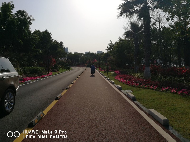 春暖花开 厦门五缘湾随拍