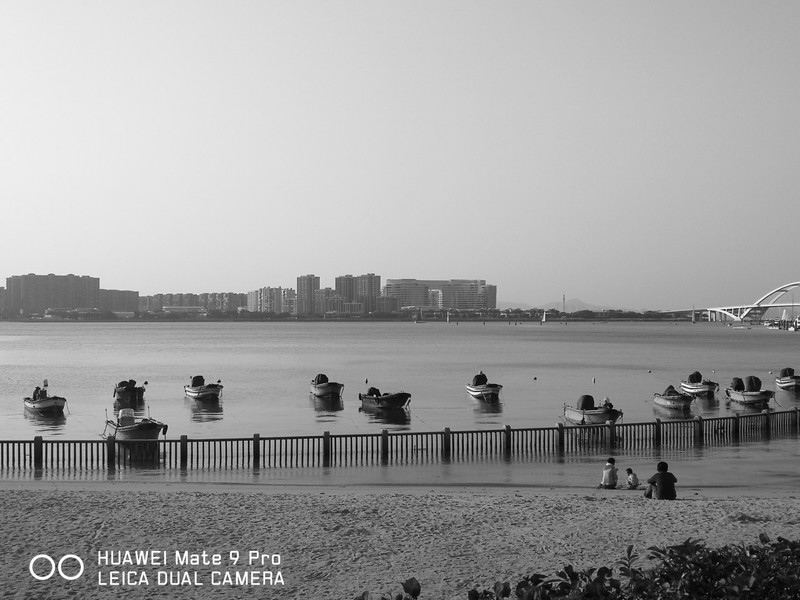 春暖花开 厦门五缘湾随拍