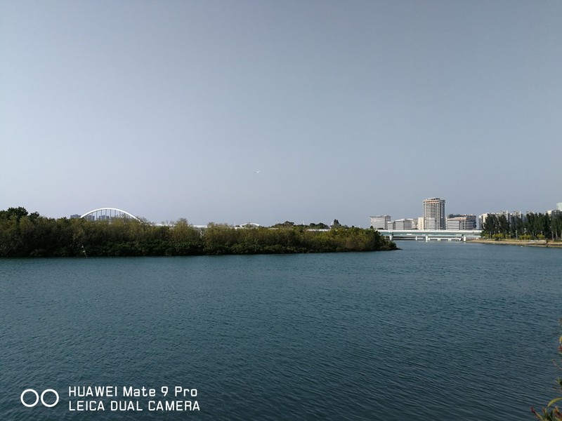 春暖花开 厦门五缘湾随拍