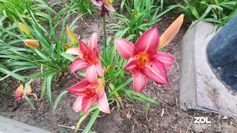 嘉峪关记事......