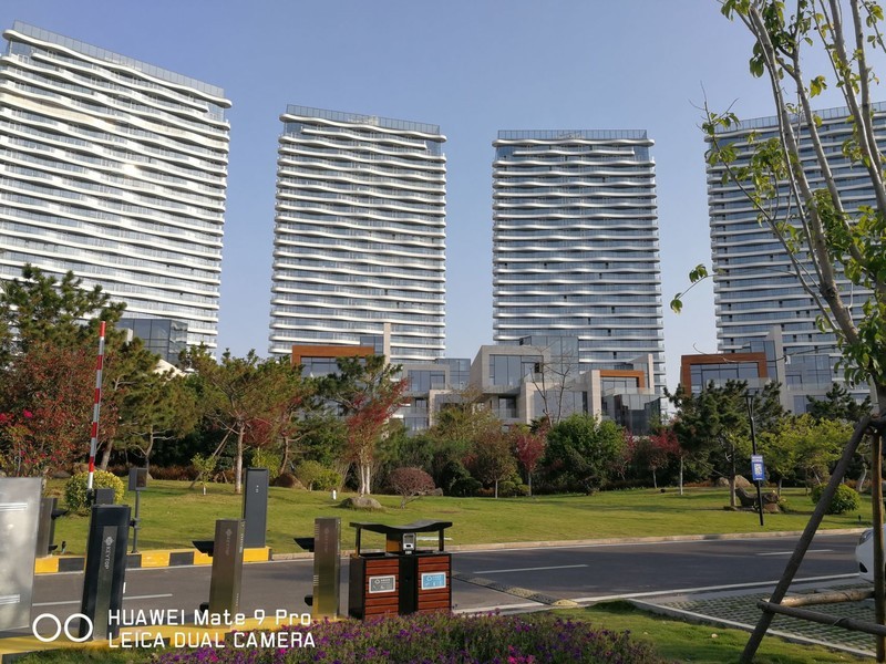 春暖花开 厦门五缘湾随拍