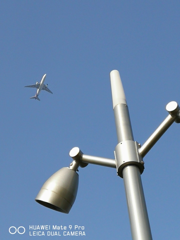 春暖花开 厦门五缘湾随拍