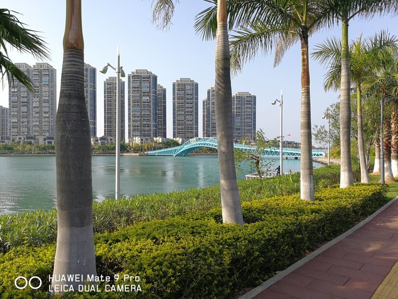 春暖花开 厦门五缘湾随拍