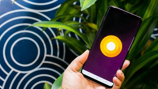 星空体育平台S9/S9+真机对比图赏 旗舰王者你选谁？