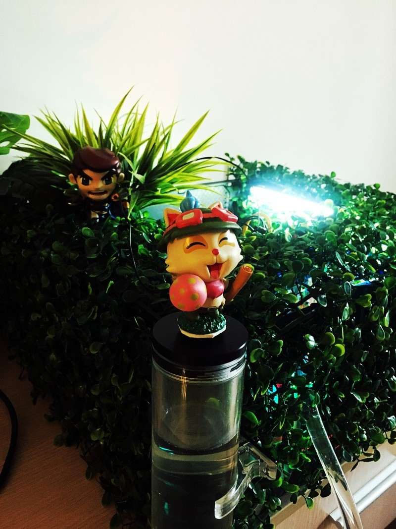 自制英雄联盟主题水冷机箱——上单的提莫