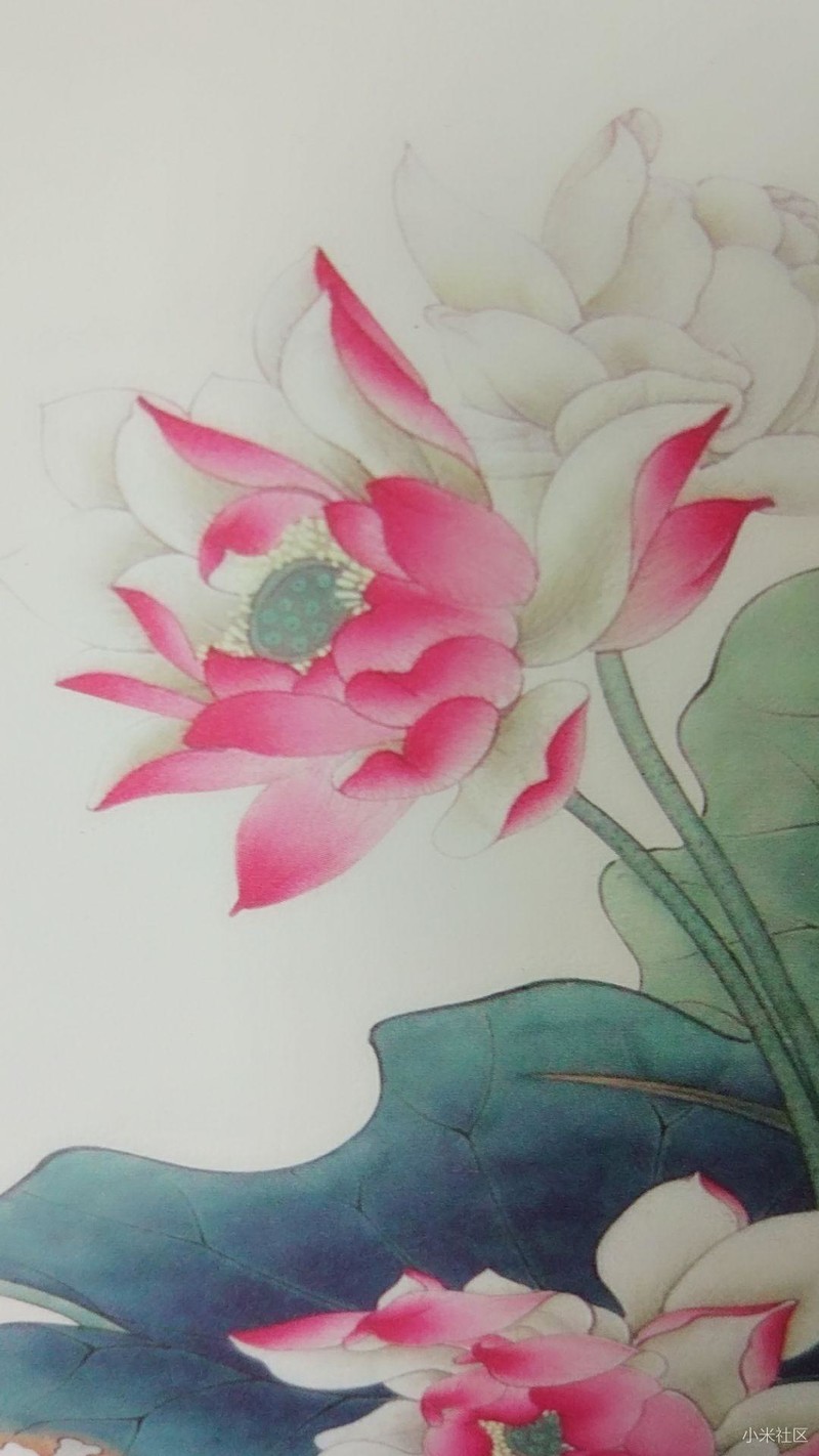 西湖六月半