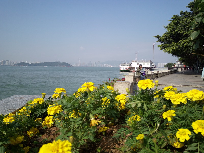 美丽街景--手机拍摄