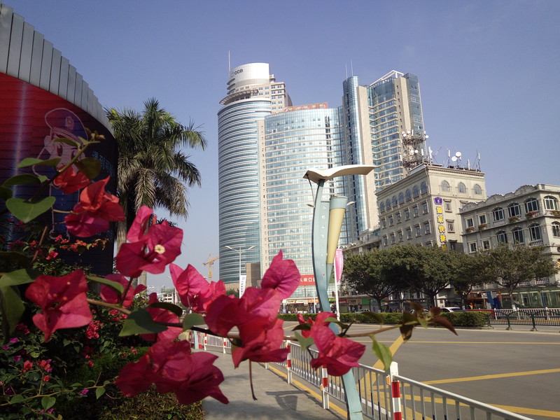 美丽街景--手机拍摄