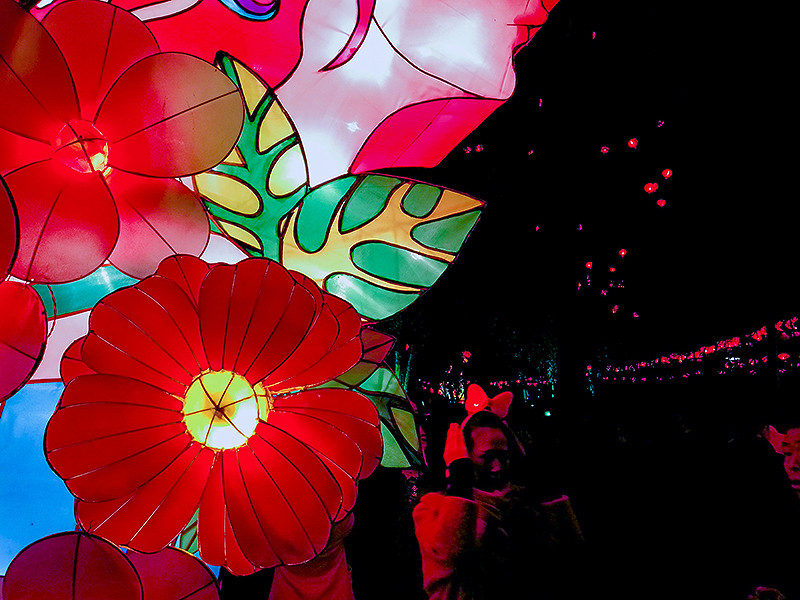 猴赛雷！元宵灯会华为Mate 8啪啪啪