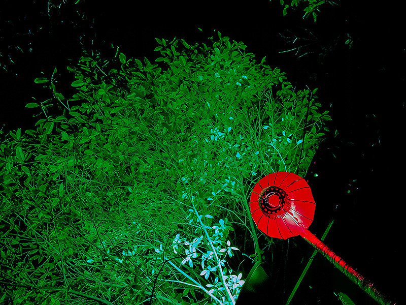 猴赛雷！元宵灯会华为Mate 8啪啪啪