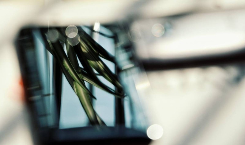 HUANWEI Mate 10 10天体验