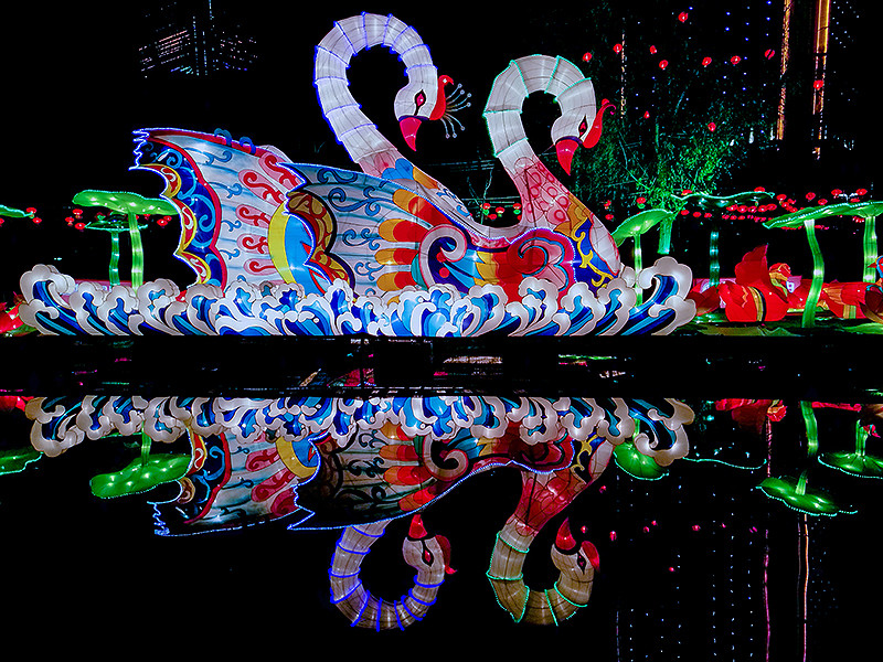 猴赛雷！元宵灯会华为Mate 8啪啪啪