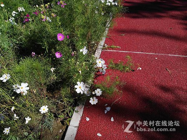 相差10个月手机摄像头拍照对比