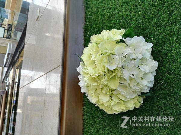 相差10个月手机摄像头拍照对比