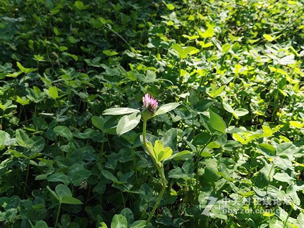 相差10个月手机摄像头拍照对比