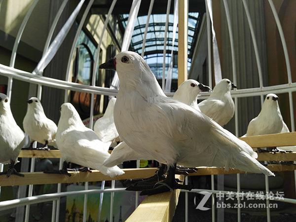 相差10个月手机摄像头拍照对比