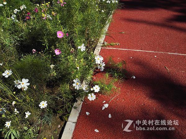 相差10个月手机摄像头拍照对比