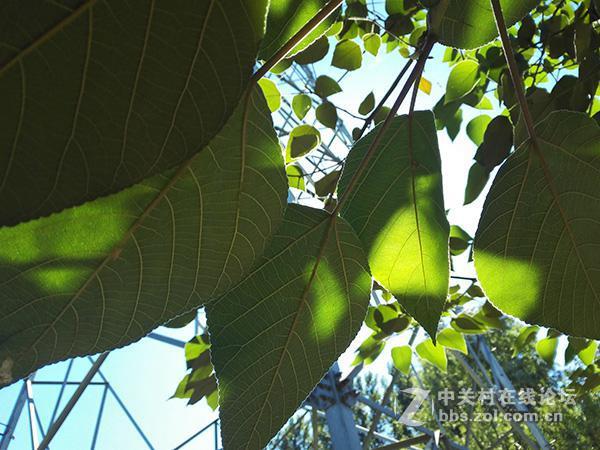 相差10个月手机摄像头拍照对比