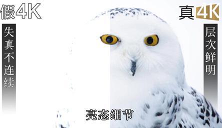 真假4K傻傻分不清？49寸10核4K大屏电视