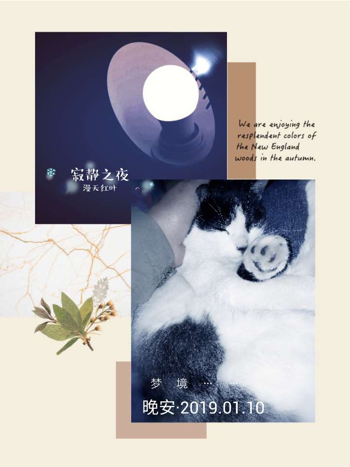 vivo手机摄影发现美

