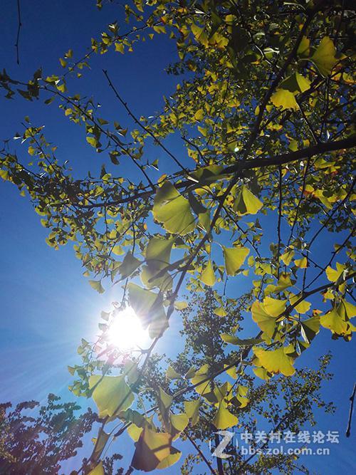 相差10个月手机摄像头拍照对比