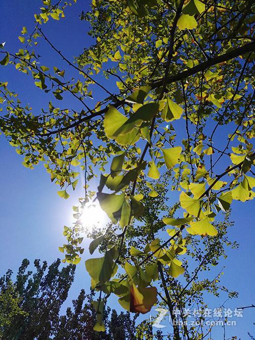 相差10个月手机摄像头拍照对比