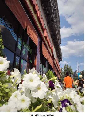 涨知识：双镜头手机到底咋样？