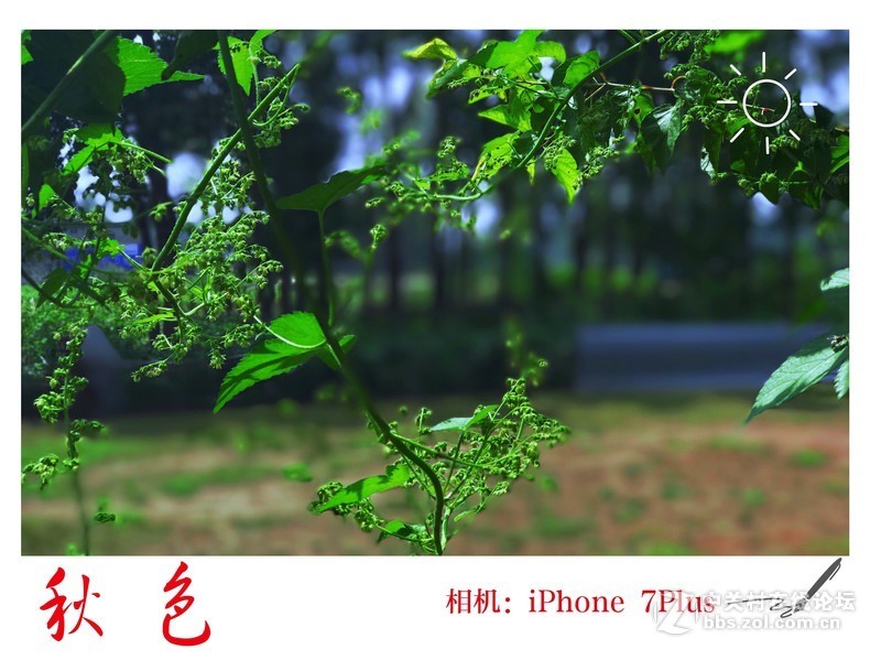 【手机摄影】城市风景