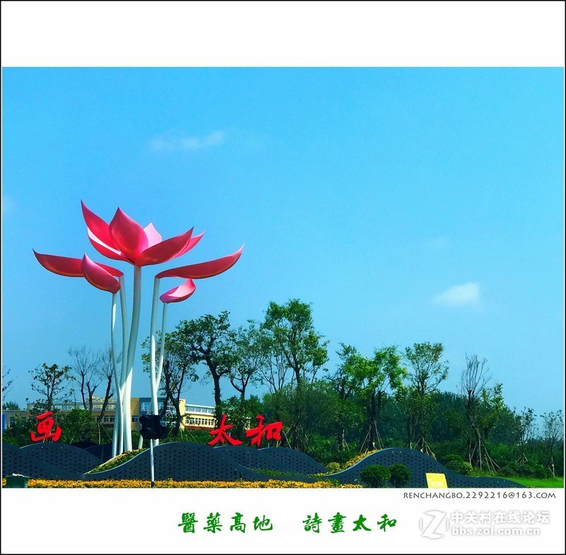 【手机摄影】城市风景