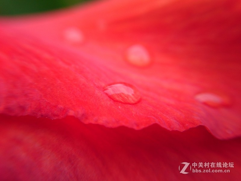随拍