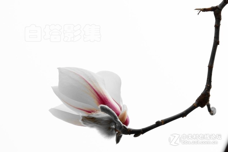 #白塔影集#[高调玉堂春]