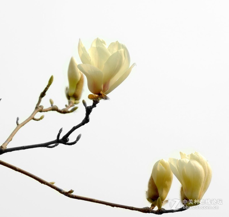 #白塔影集#[高调玉堂春]