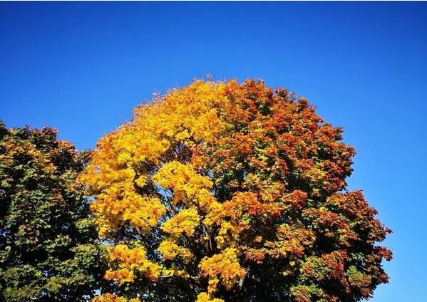 华为Mate10评测：徕卡/保时捷加持 颜值性能超棒