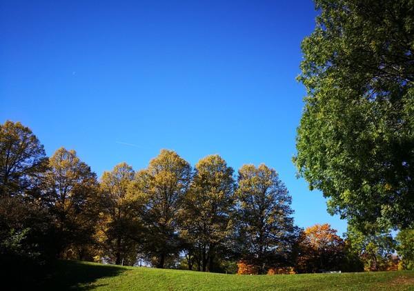 华为Mate10评测：徕卡/保时捷加持 颜值性能超棒