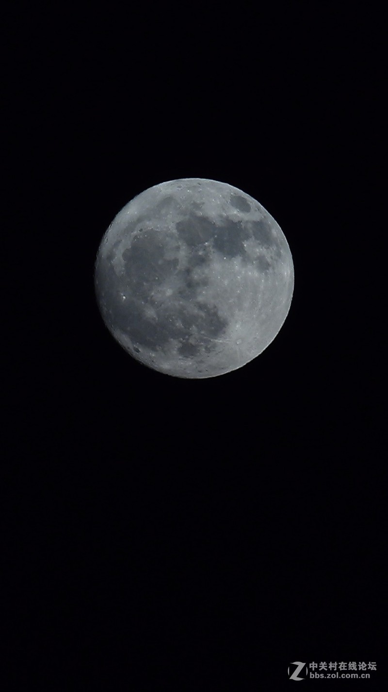 为轻便入了M100微，试拍(原图压缩，末张5D4)_1
