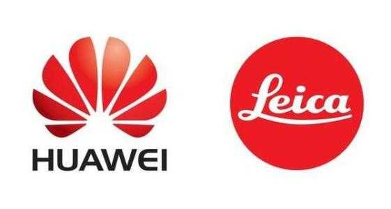 不曾在你辉煌时慕名而来，也未曾在你低谷时离你而去