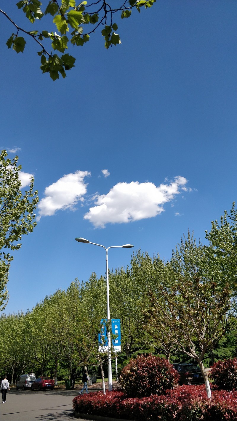 拍出的天真好