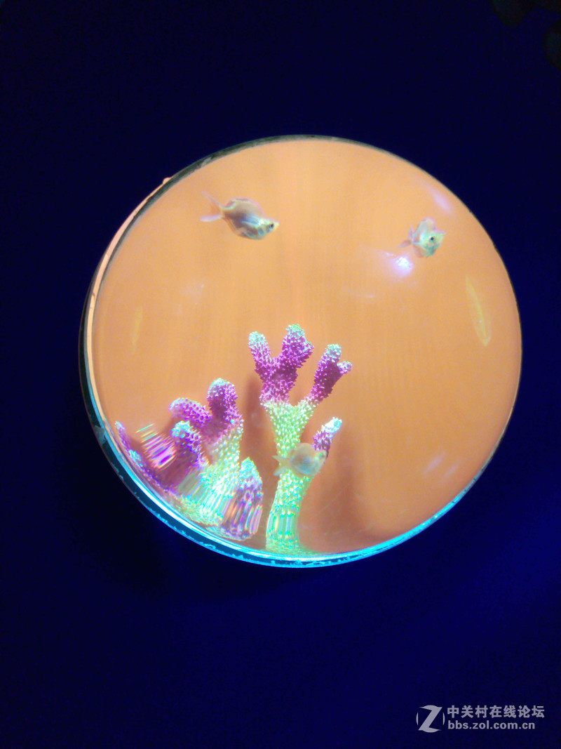 ＃魅蓝5S试用＃轻罗小扇扑流萤