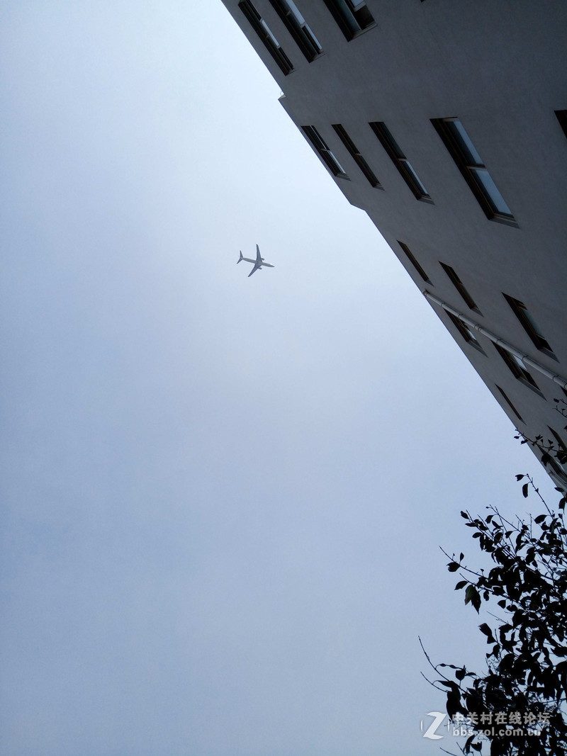 ＃魅蓝5S试用＃轻罗小扇扑流萤