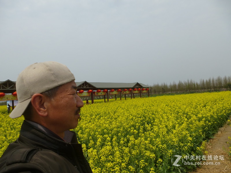 上海奉贤庄行油菜花节一日随拍，与大家共享。