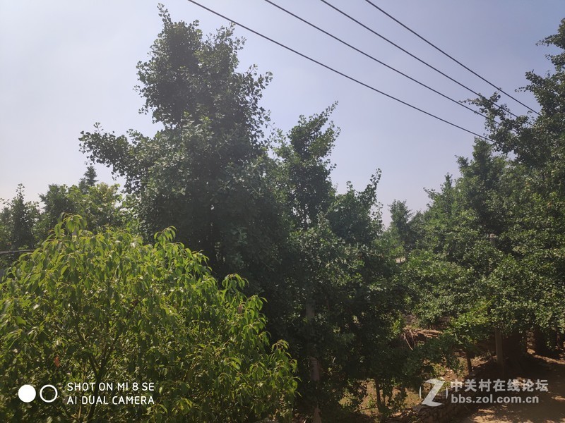 可承担小米1999元经典售价的重任！小米8 SE小屏旗舰评测